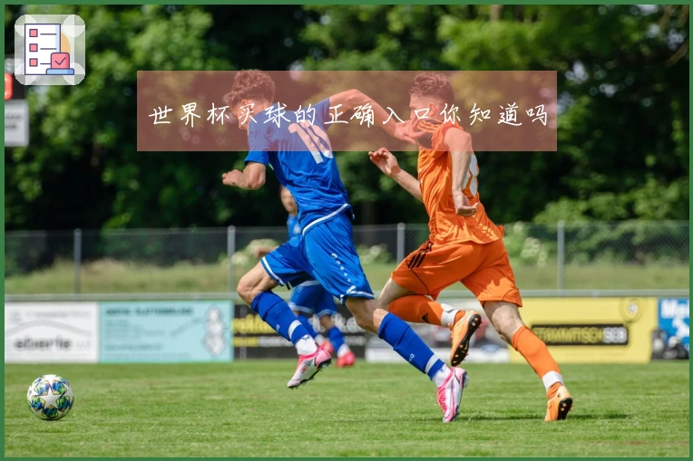 世界杯买球的正确入口你知道吗