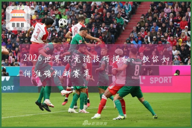 2026世界杯竞猜技巧揭秘，教你如何准确判断赛果