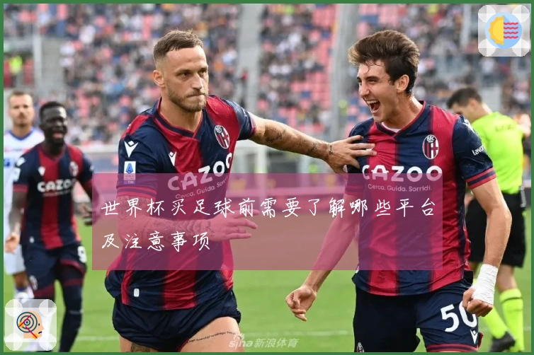 世界杯买足球前需要了解哪些平台及注意事项