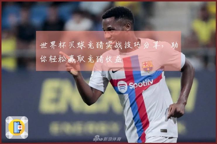 世界杯买球竞猜实战技巧分享，助你轻松赢取竞猜收益