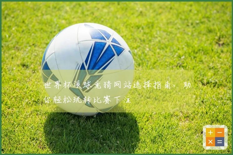 世界杯滚球竞猜网站选择指南，助你轻松玩转比赛下注