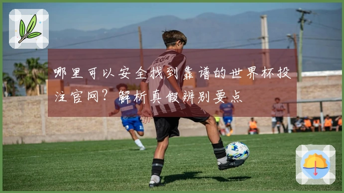 哪里可以安全找到靠谱的世界杯投注官网？解析真假辨别要点