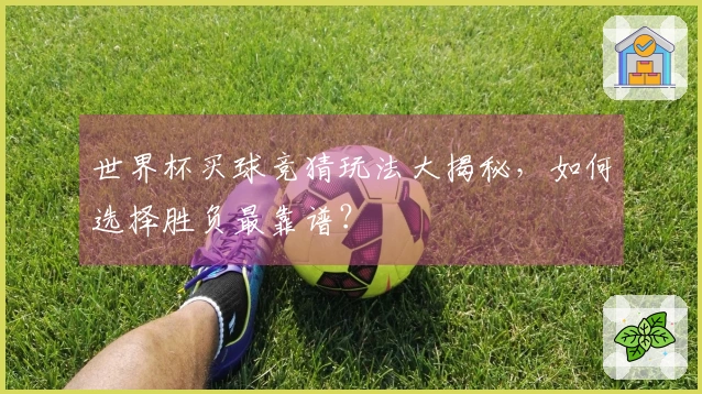 世界杯买球竞猜玩法大揭秘，如何选择胜负最靠谱？