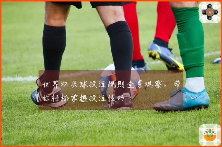 世界杯买球投注规则全景观察，带你轻松掌握投注技巧