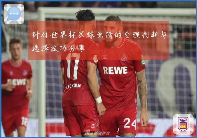 针对世界杯买球竞猜的合理判断与选择技巧分享