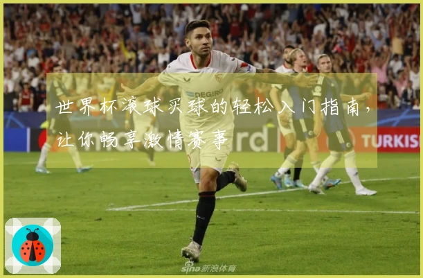 世界杯滚球买球的轻松入门指南，让你畅享激情赛事