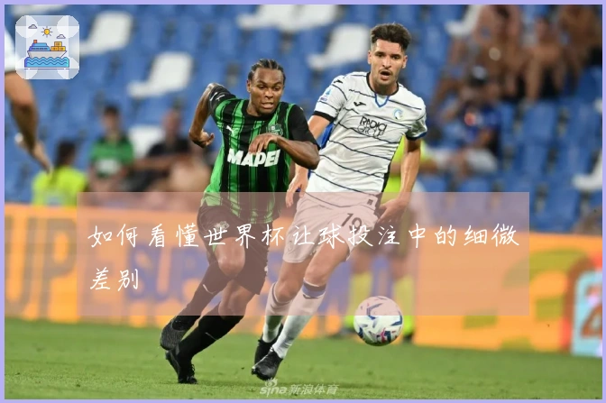 如何看懂世界杯让球投注中的细微差别